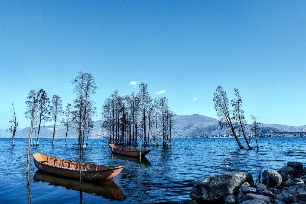 ho-nhi-hai-lac-buoc-vao-buc-tranh-thuy-mac-van-nam.jpg