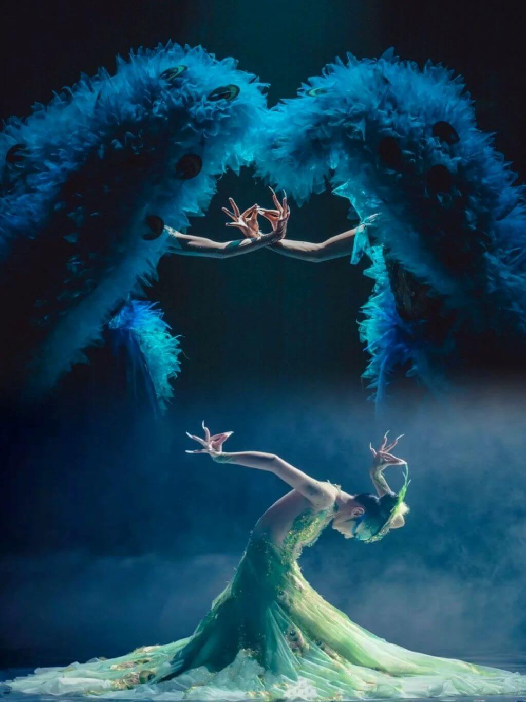 show-an-tuong-van-nam-man-nhan-nghe-thuat-mua-chim-cong-dinh-cao.jpg