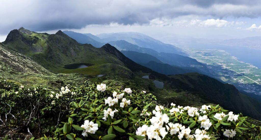 thanh-co-dai-ly-ve-dep-vuot-thoi-gian-tai-xu-so-van-nam.jpg