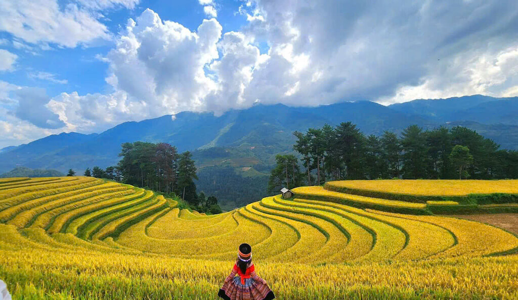 Ruộng bậc thang Sapa